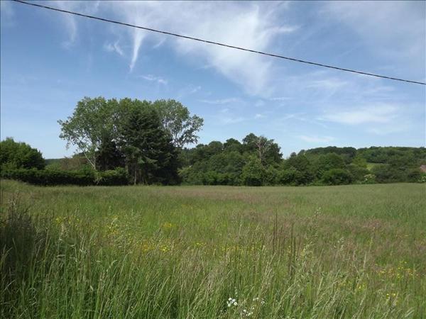 Terrain à vendre |  Saint-Maurice-la-Souterraine |  3392 m²