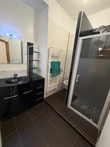 Appartement Saint Etienne T4