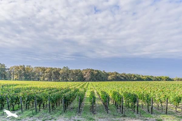 Maison à vendre |  Léognan |  3 pièces | 87 m²