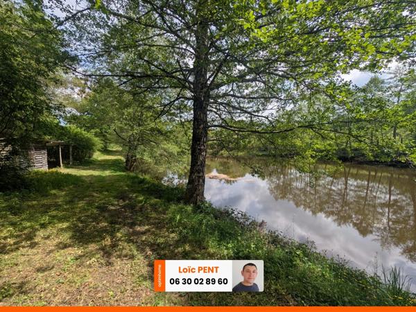 Etang à vendre sur un terrain de 26 033,00 m² LE MAYET DE MONTAGNE (03250)