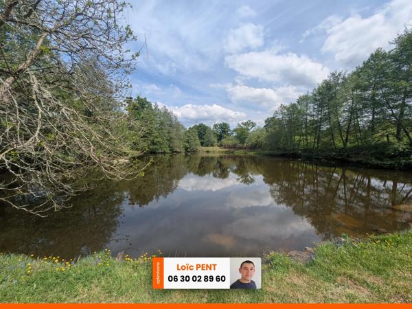 Etang à vendre sur un terrain de 26 033,00 m² LE MAYET DE MONTAGNE (03250)