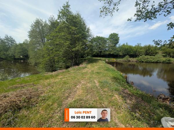Etang à vendre sur un terrain de 26 033,00 m² LE MAYET DE MONTAGNE (03250)