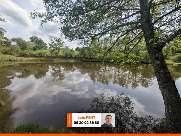 Etang à vendre sur un terrain de 26 033,00 m² LE MAYET DE MONTAGNE (03250)