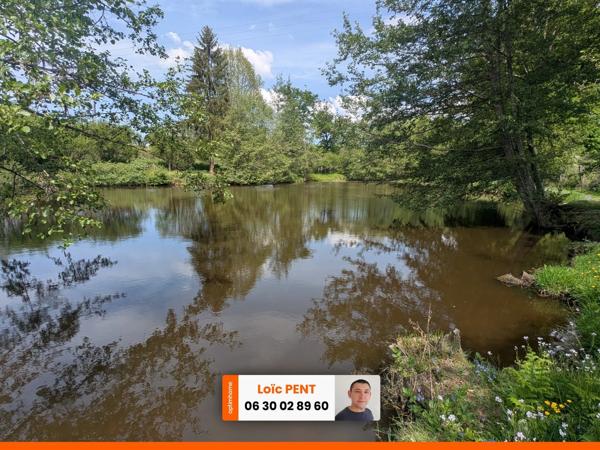 Etang à vendre sur un terrain de 26 033,00 m² LE MAYET DE MONTAGNE (03250)