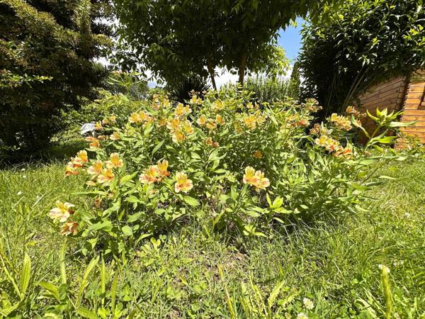 Pavillon Lumineux à Pineuilh