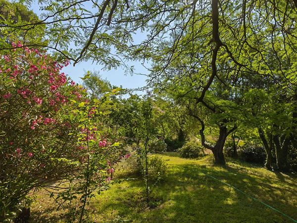 Velleron (84740) Isle sur la Sorgue / St Antoine superbe maison ancienne de 160 m2 habitables