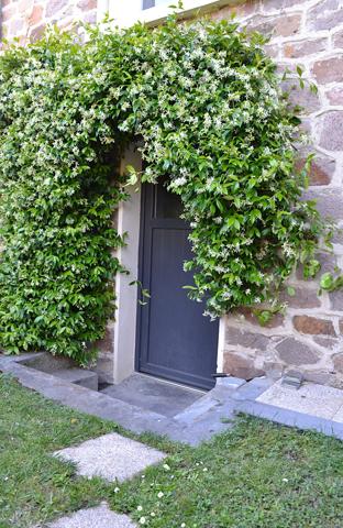 BRIVE CENTRE VILLE - BELLE MAISON DE CARACTERE