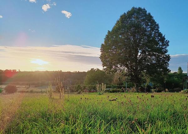Maison  joliment restaurée avec dépendances + terrain constructible