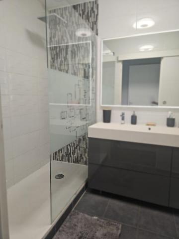 Maison Chassieu 5 pièce(s) 120 m2