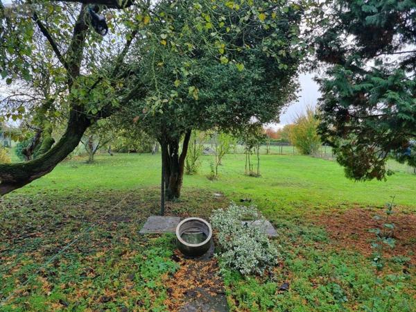 Maison à louer à Marquion dans le Pas-de-Calais (62860), ref : 62017-L259