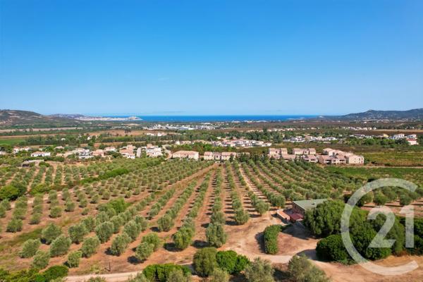 Maison à vendre  6 pièces - 210,39 m2 CALENZANA - 202