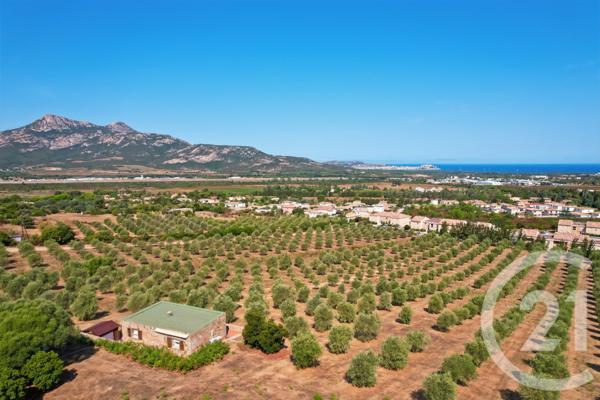 Maison à vendre  6 pièces - 210,39 m2 CALENZANA - 202