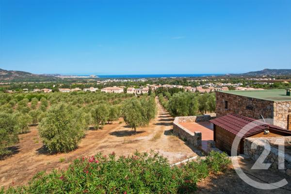 Maison à vendre  6 pièces - 210,39 m2 CALENZANA - 202