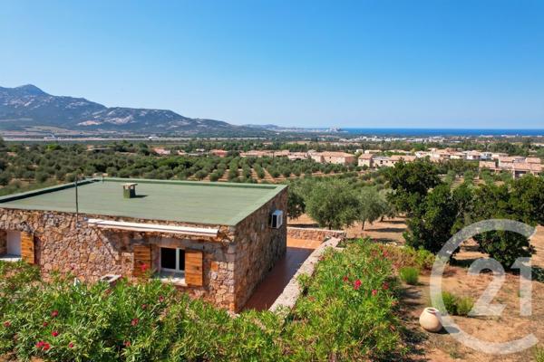 Maison à vendre  6 pièces - 210,39 m2 CALENZANA - 202