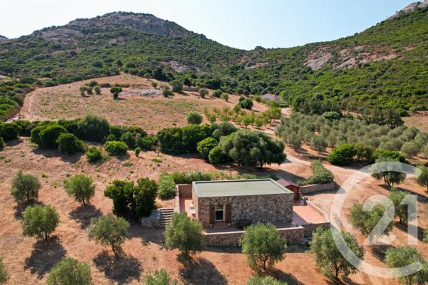 Maison à vendre  6 pièces - 210,39 m2 CALENZANA - 202