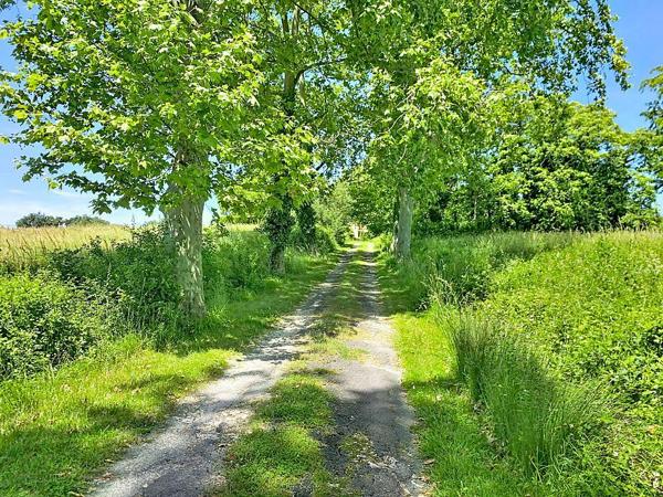 Maison 6 pièces de 191m2 à Lannepax proposé par Croix du sud immobilier - TMAI245881891