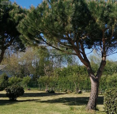 Terrain à Batir à vendre à Mesquer en Loire-Atlantique (44420), ref : 44128-1084