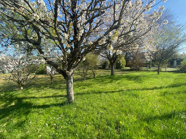 Terrain Neuville Aux Bois 528 m2