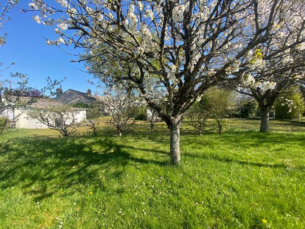 Terrain Neuville Aux Bois 528 m2