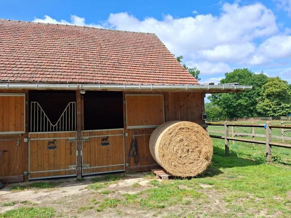 Propriété Corps de Ferme, Bâtisse d'habitation de caractère , nombreuses dependances dont Box, proche ALENCON, LE PERCHE, 2h00 PARIS