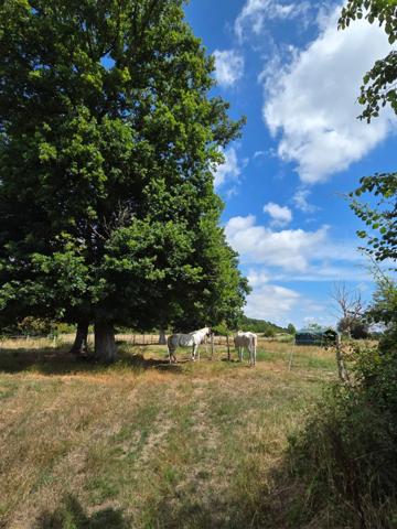Propriété Corps de Ferme, Bâtisse d'habitation de caractère , nombreuses dependances dont Box, proche ALENCON, LE PERCHE, 2h00 PARIS