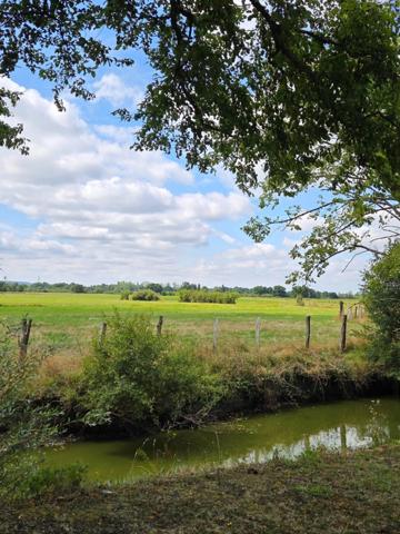 Propriété Corps de Ferme, Bâtisse d'habitation de caractère , nombreuses dependances dont Box, proche ALENCON, LE PERCHE, 2h00 PARIS