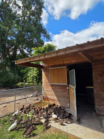 Propriété Corps de Ferme, Bâtisse d'habitation de caractère , nombreuses dependances dont Box, proche ALENCON, LE PERCHE, 2h00 PARIS