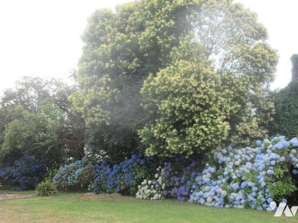 MAISON 143m² - 5 CHAMBRES - DEPENDANCE