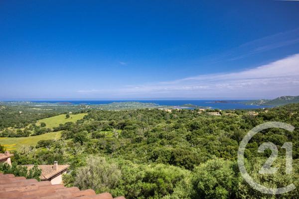 Maison à vendre  6 pièces - 226,71 m 2   FIGARI  - 201