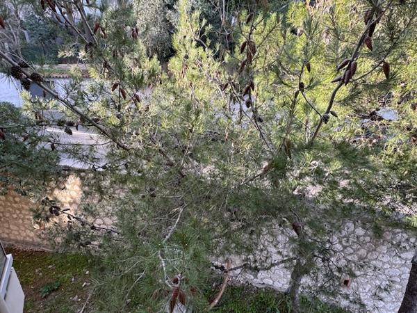 Marseille (13007) EXCLUSIVITÉ VENTE APPARTEMENT 75 M2 TYPE 3 BALCON VUE MER NOTRE DAME PARKING RUE CELINA 13007 MA