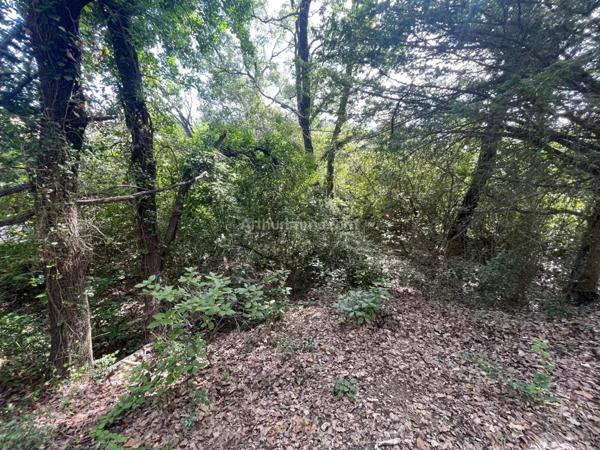 Vente Terrain 1300 m2 à Flayosc