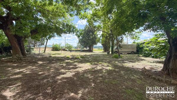 Mas provençal à rénover à Courthézon – 524 m² de surface totale, dépendances & potentiel