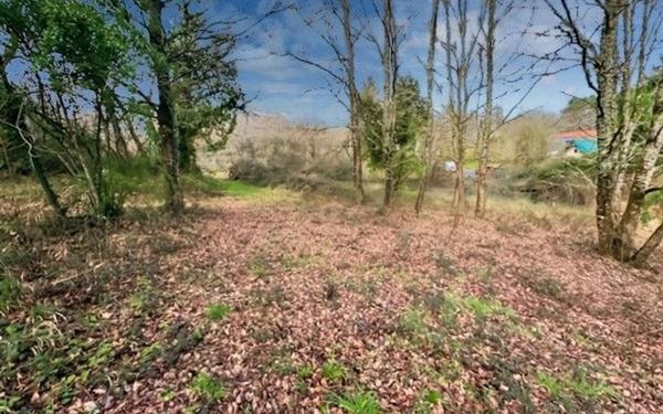 Maison à vendre    3 pièces •  Saint-Astier