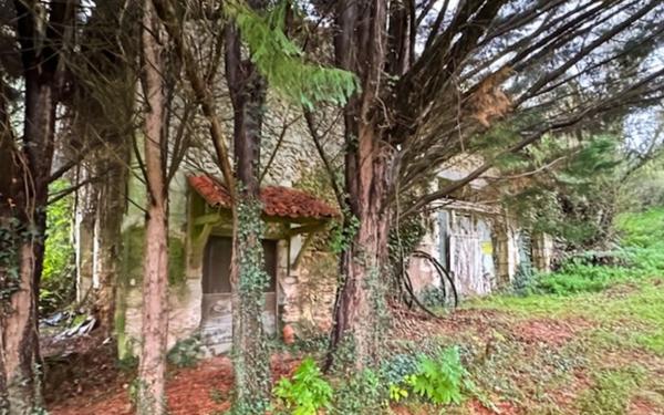 Maison à vendre    3 pièces •  Saint-Astier