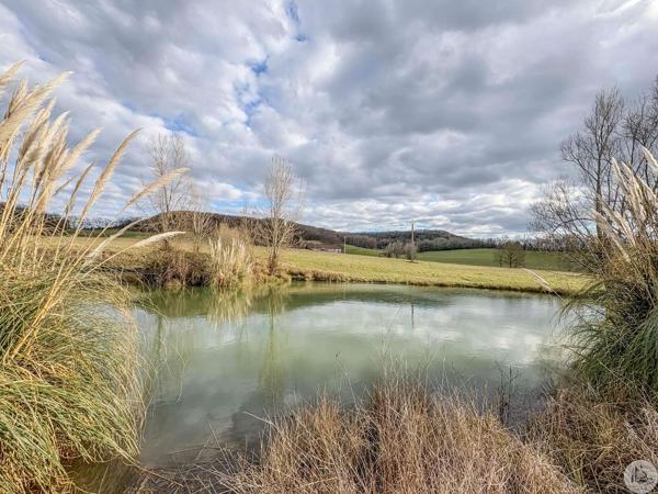 Domaine équestre d'exception sur 40 hectares