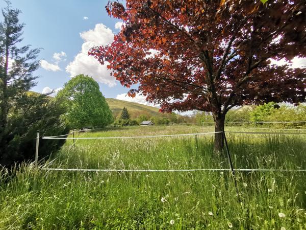Mas-Saint-Chély (48210) Ancien hôtel de charme, gîte, chambres d’hôtes, entre Sainte Enimie et Meyrueis, Parc National des Cévennes