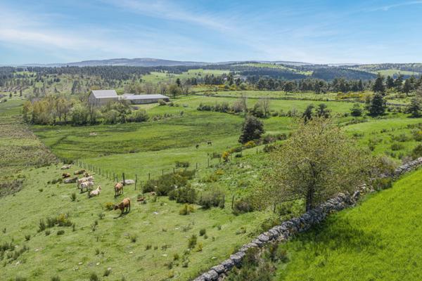 Langogne (48300) Domaine d'exception, cadre idyllique, au croisement du GR65 (chemin de Compostelle) et du chemin de Stevenson