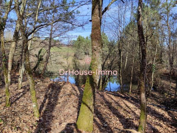 Bien immobilier à vendre 4 pièces de 350 m²