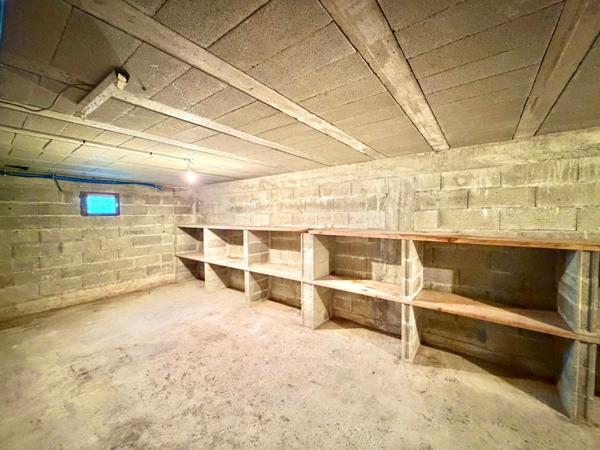 GRANDE VILLA AVEC SOUS-SOL TERRAIN ET MARE