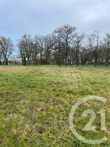 Maison à vendre  10 pièces - 230 m2 AVERDON - 41