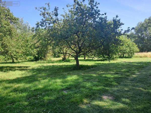 Achat - Maison Coulogne 62137 15 pièces 337 m 2 10416 m 2