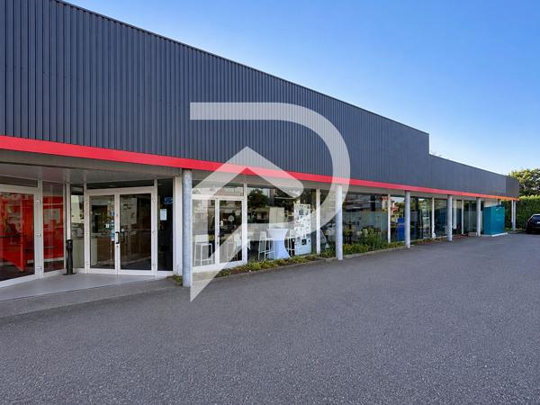 Local d'activité 500 m2