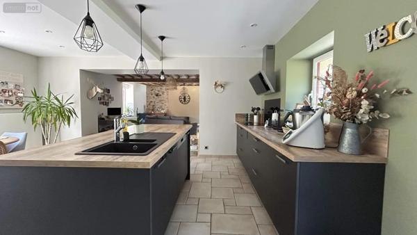 Achat - Maison Segré-en-Anjou Bleu 49500 6 pièces 130 m 2 2379 m 2