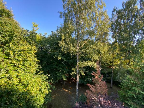 Appartement Evry Courcouronnes 3 pièce(s) 63 m2