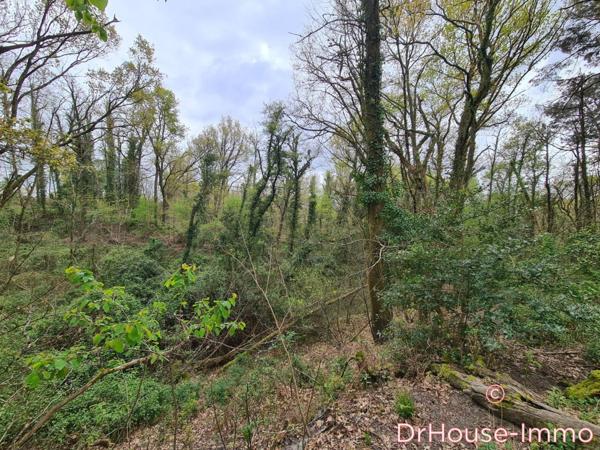 Terrain à vendre de 12 358 m²