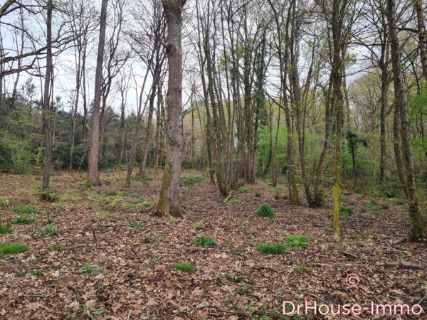 Terrain à vendre de 12 358 m²