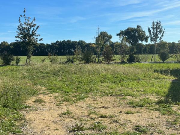 Terrain à bâtir viabilisé bourg de SAINT MARS DU DESERT "LA HAUTE NOË"