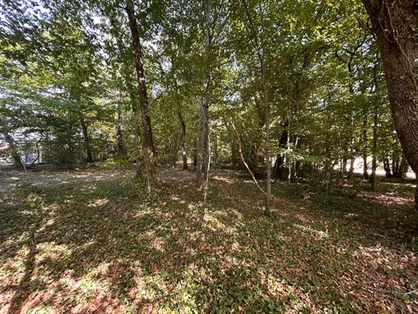 A vendre, terrain à bâtir sur les hauteurs de MARSAC-SUR-L'ISLE 24430