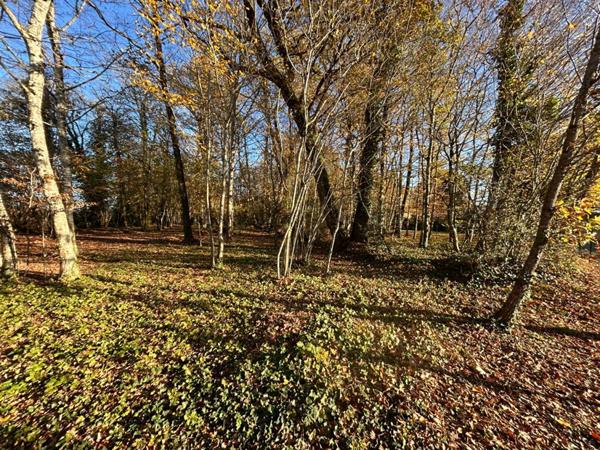 A vendre, terrain à bâtir sur les hauteurs de MARSAC-SUR-L'ISLE 24430