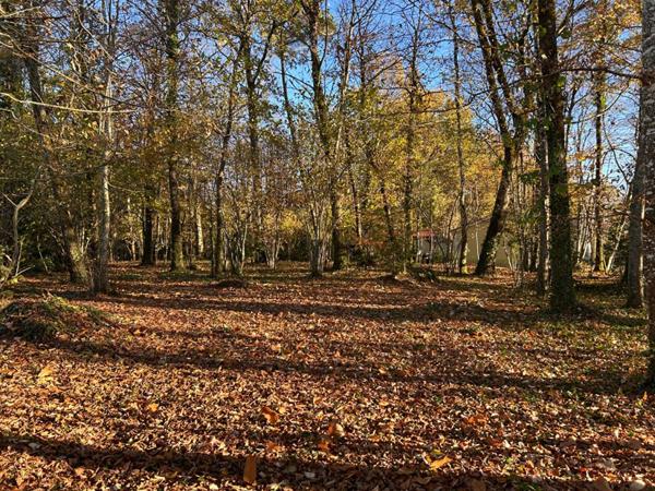 A vendre, terrain à bâtir sur les hauteurs de MARSAC-SUR-L'ISLE 24430